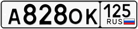 Купить гос номер А828ОК 125