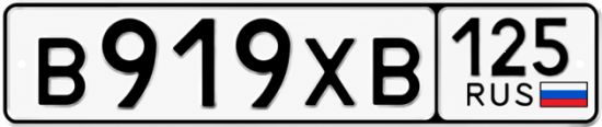 Купить гос номер В919ХВ 125