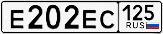 Купить гос номер Е202ЕС 125