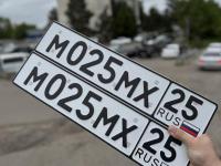 Фото автомобильного номера М025МХ 25