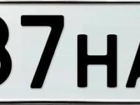 Фото автомобильного номера Е787НА 138
