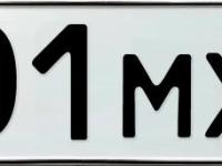 Фото автомобильного номера М101МХ 138
